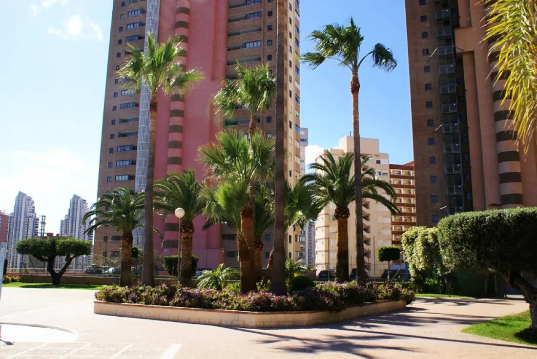 Apartamentos Paraiso 10