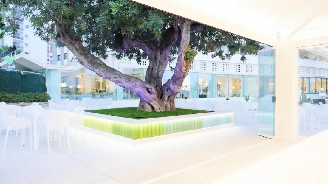 Primavera Park Apartamentos3 étoiles★★★