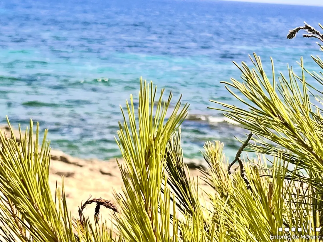 Maison de Vacances Benissa 238