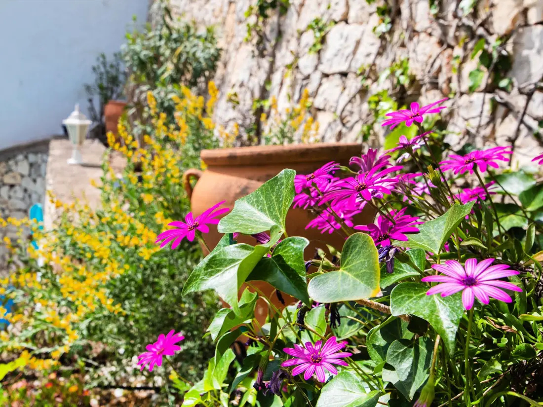 Maison de Vacances Benissa 253
