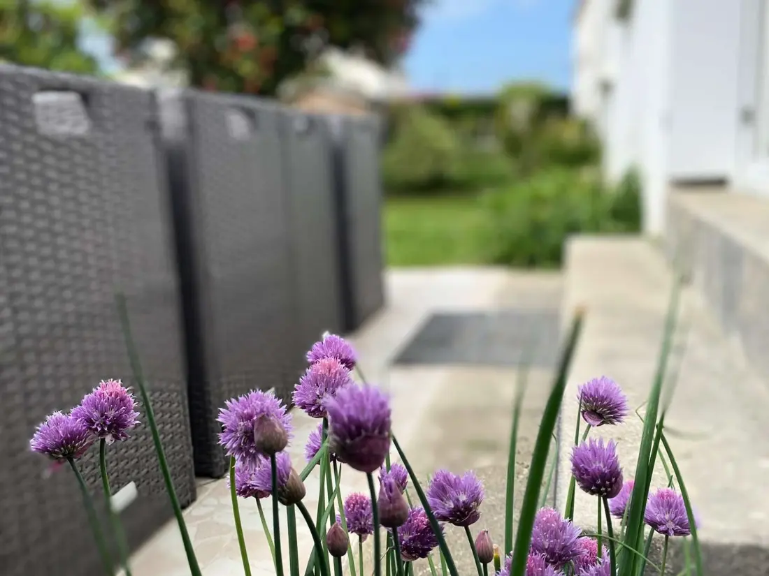 Location de Vacances Bénodet 51