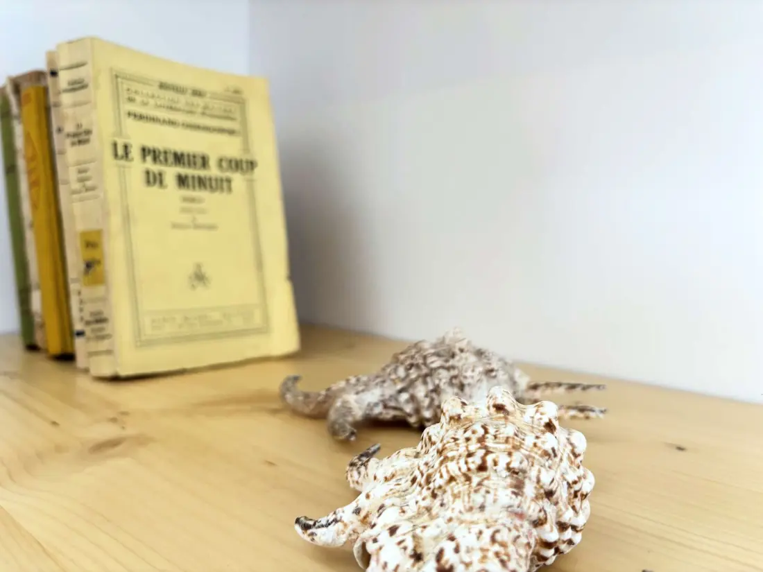 Maison de Vacances Bénodet 82