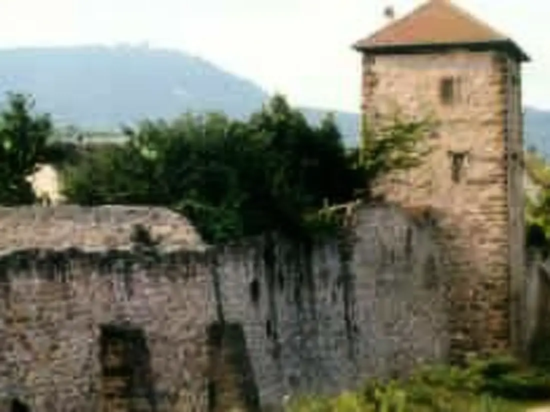 Maison de Vacances Bergheim
