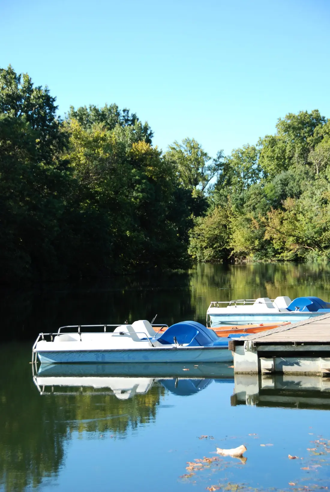 Camping Domaine Sainte Veziane 4 étoiles★★★★