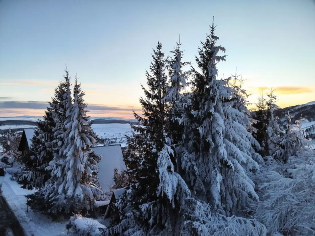 Location de Vacances Besse-et-Saint-Anastaise 11