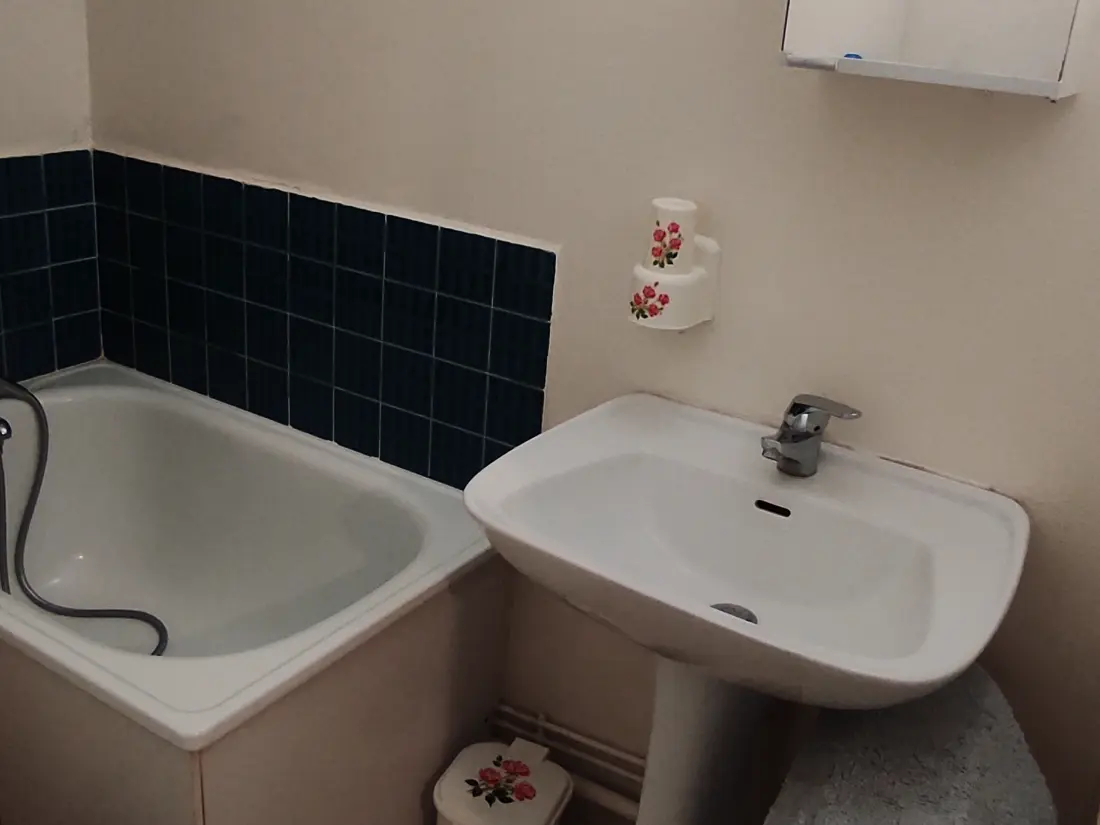 Location de Vacances Besse-et-Saint-Anastaise 8