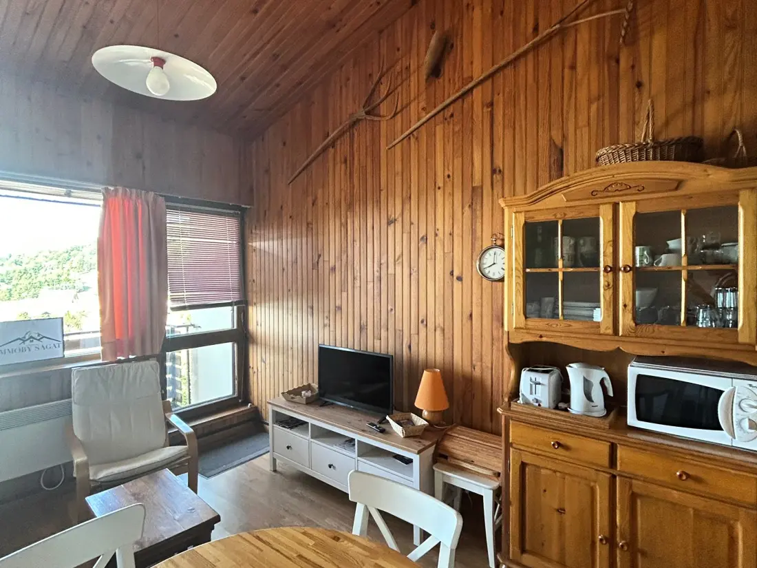 Location de Vacances Besse-et-Saint-Anastaise-Super Besse 100