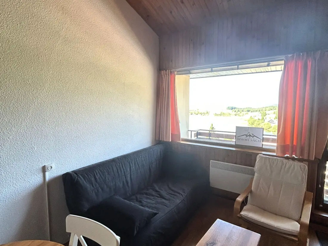 Location de Vacances Besse-et-Saint-Anastaise-Super Besse 100