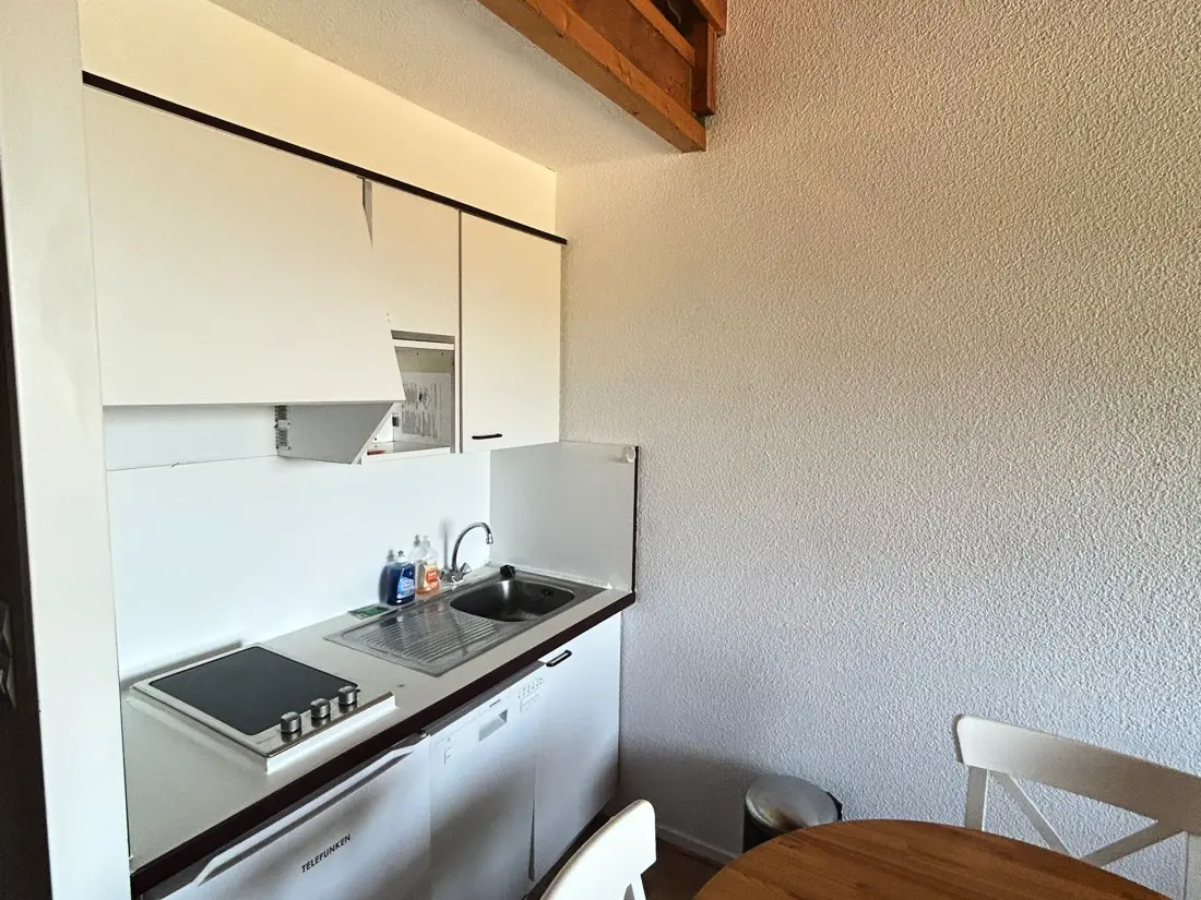 Location de Vacances Besse-et-Saint-Anastaise-Super Besse 100