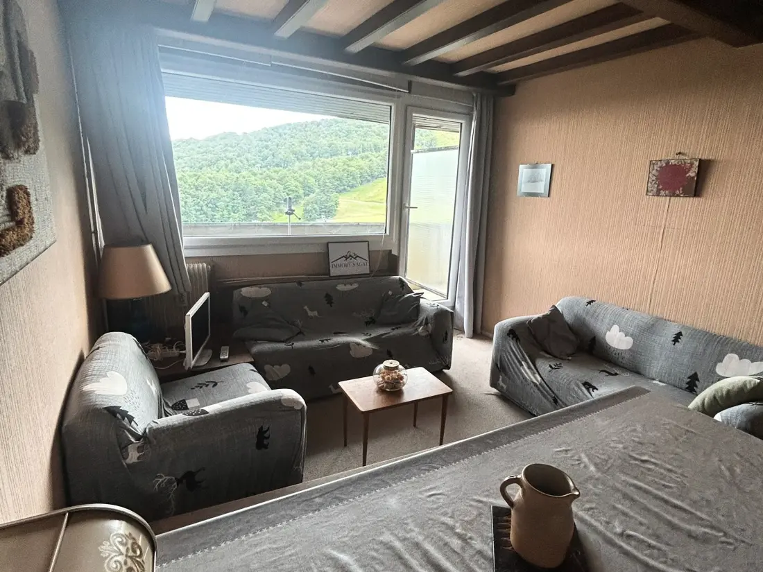 Location de Vacances Besse-et-Saint-Anastaise-Super Besse 119