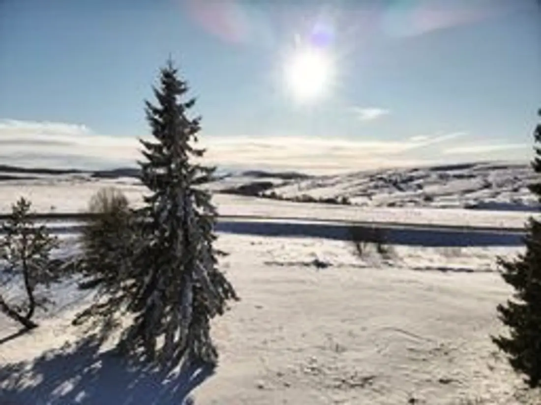 Location de Vacances Besse-et-Saint-Anastaise-Super Besse 130