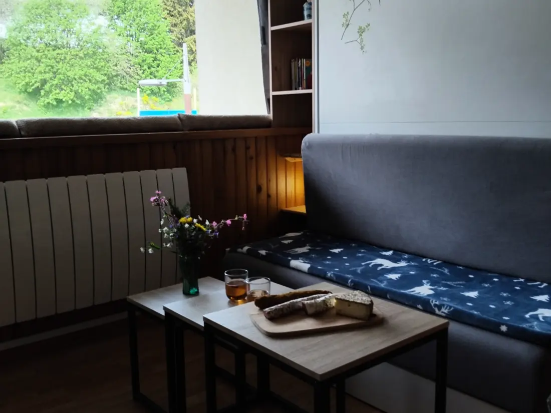 Location de Vacances Besse-et-Saint-Anastaise-Super Besse 144