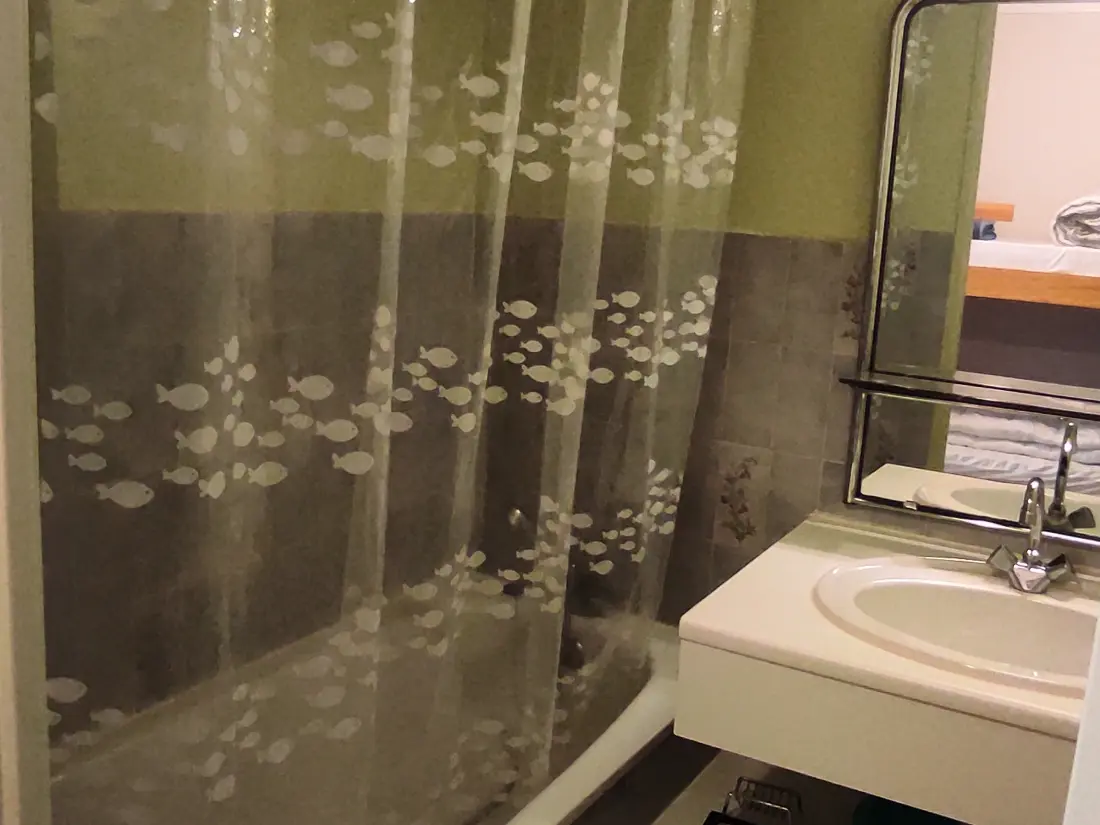 Location de Vacances Besse-et-Saint-Anastaise-Super Besse 144