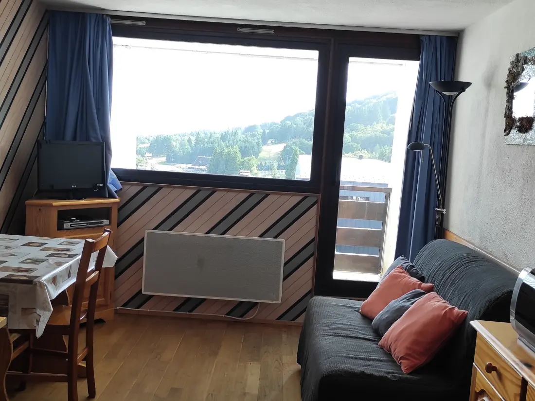 Location de Vacances Besse-et-Saint-Anastaise-Super Besse 153