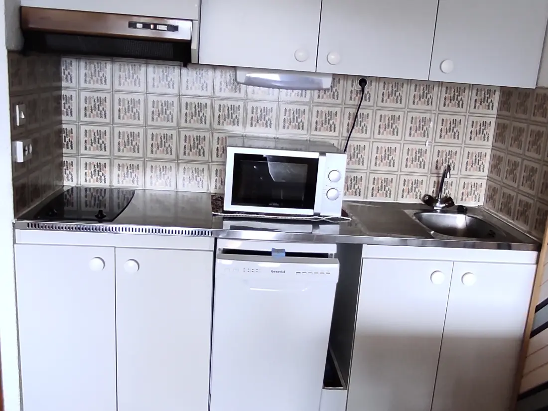 Location de Vacances Besse-et-Saint-Anastaise-Super Besse 153