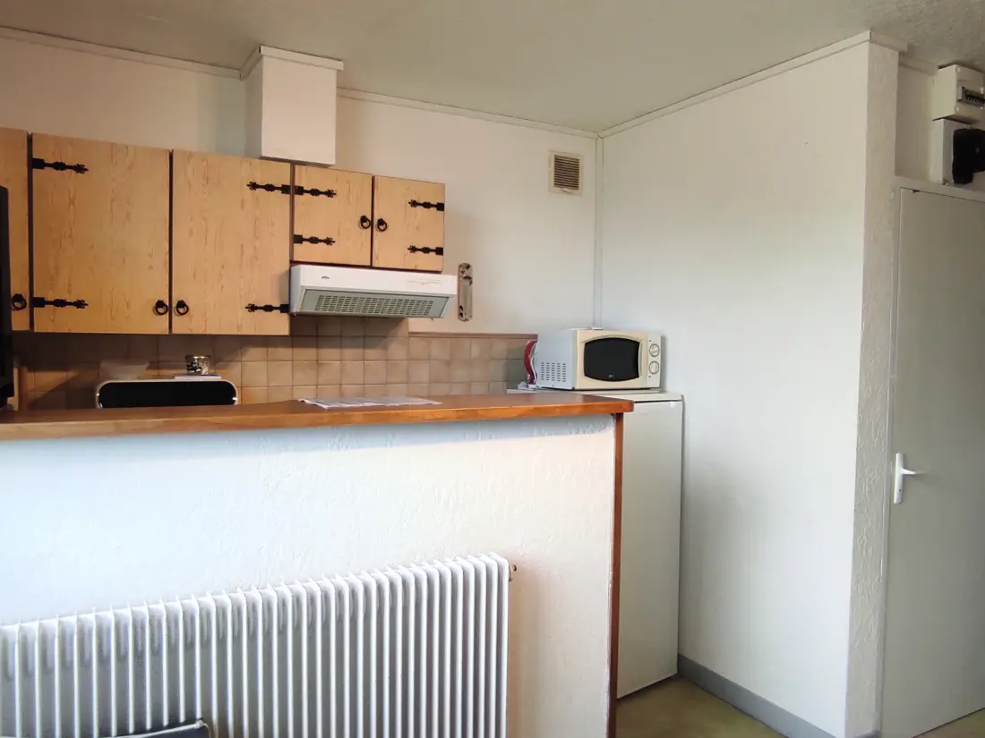 Location de Vacances Besse-et-Saint-Anastaise-Super Besse 160