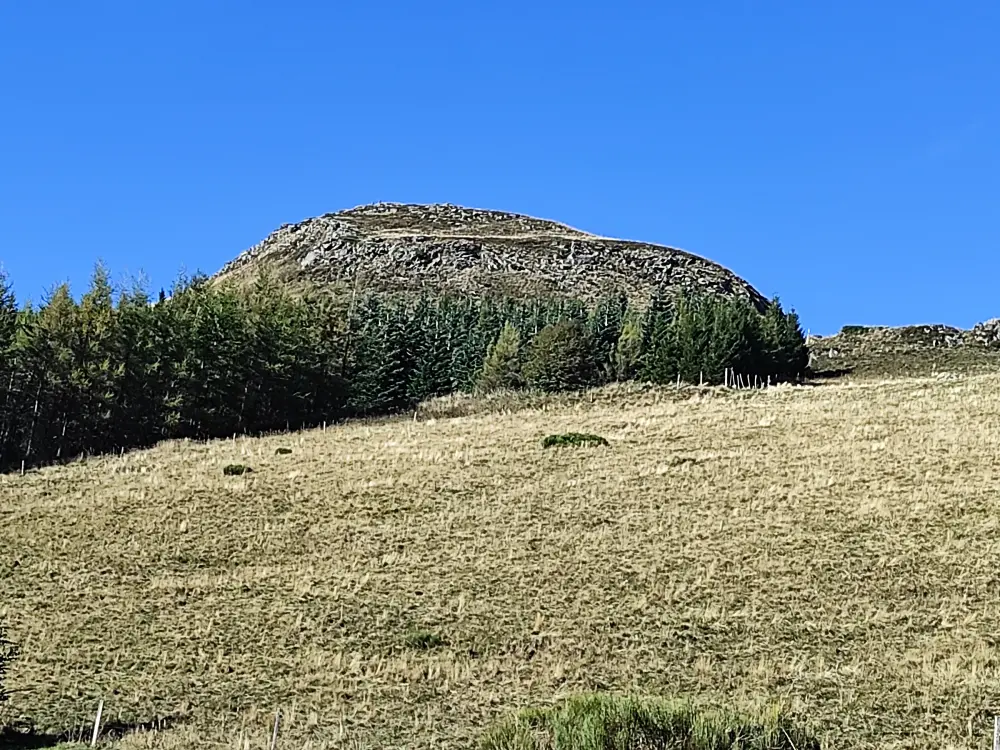 Location de Vacances Besse-et-Saint-Anastaise-Super Besse 165