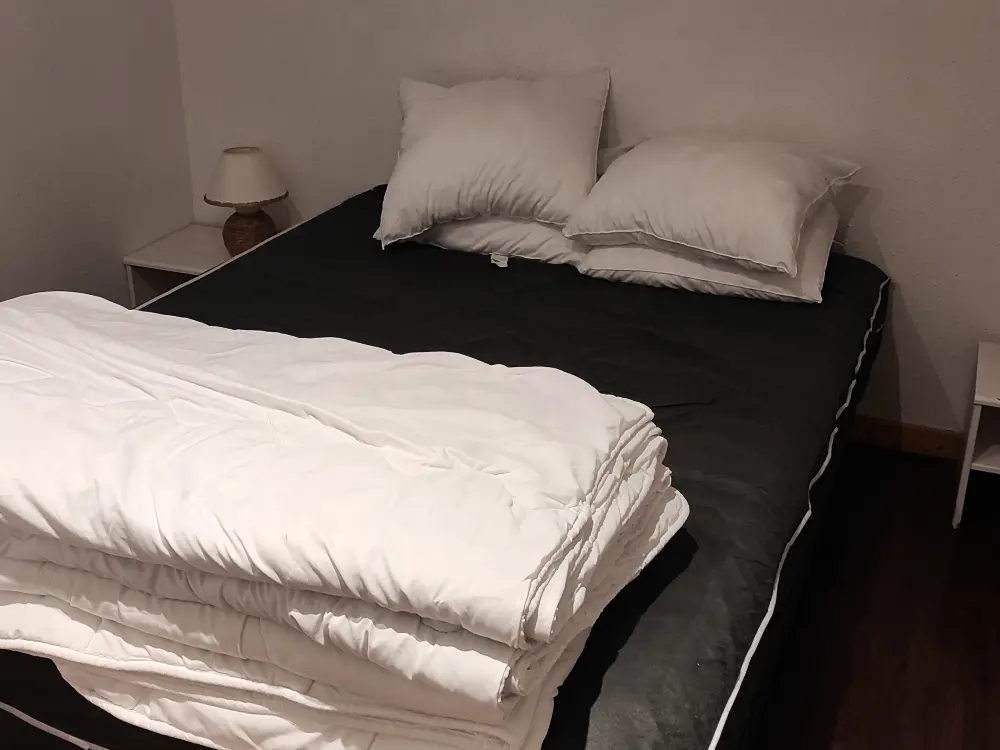Location de Vacances Besse-et-Saint-Anastaise-Super Besse 165