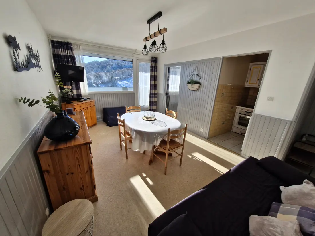 Location de Vacances Besse-et-Saint-Anastaise-Super Besse 170