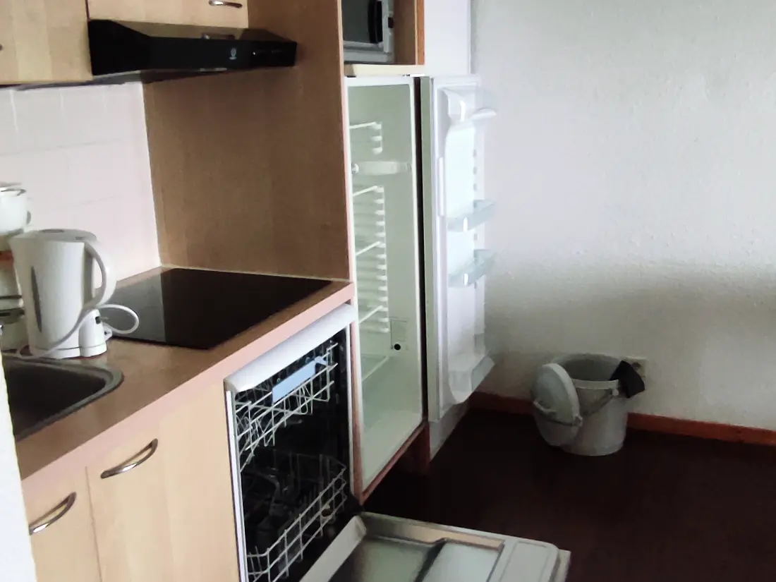 Location de Vacances Besse-et-Saint-Anastaise-Super Besse 173