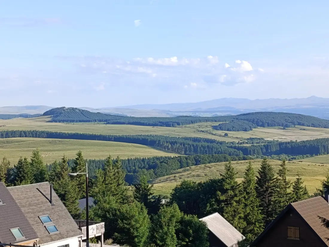 Location de Vacances Besse-et-Saint-Anastaise-Super Besse 173