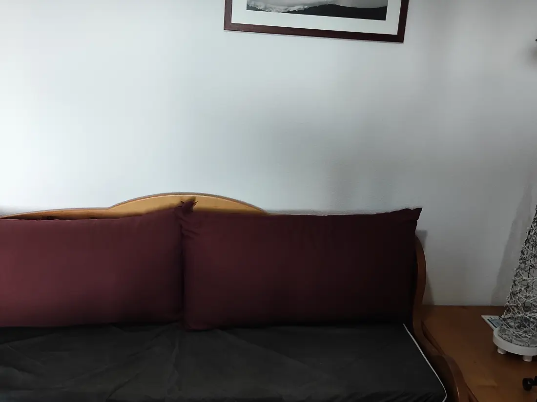 Location de Vacances Besse-et-Saint-Anastaise-Super Besse 181