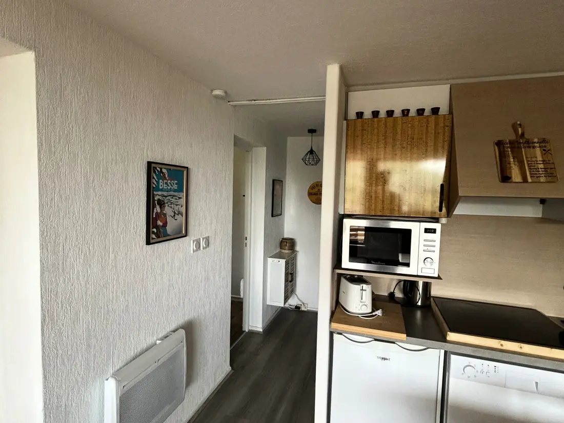 Location de Vacances Besse-et-Saint-Anastaise-Super Besse 183