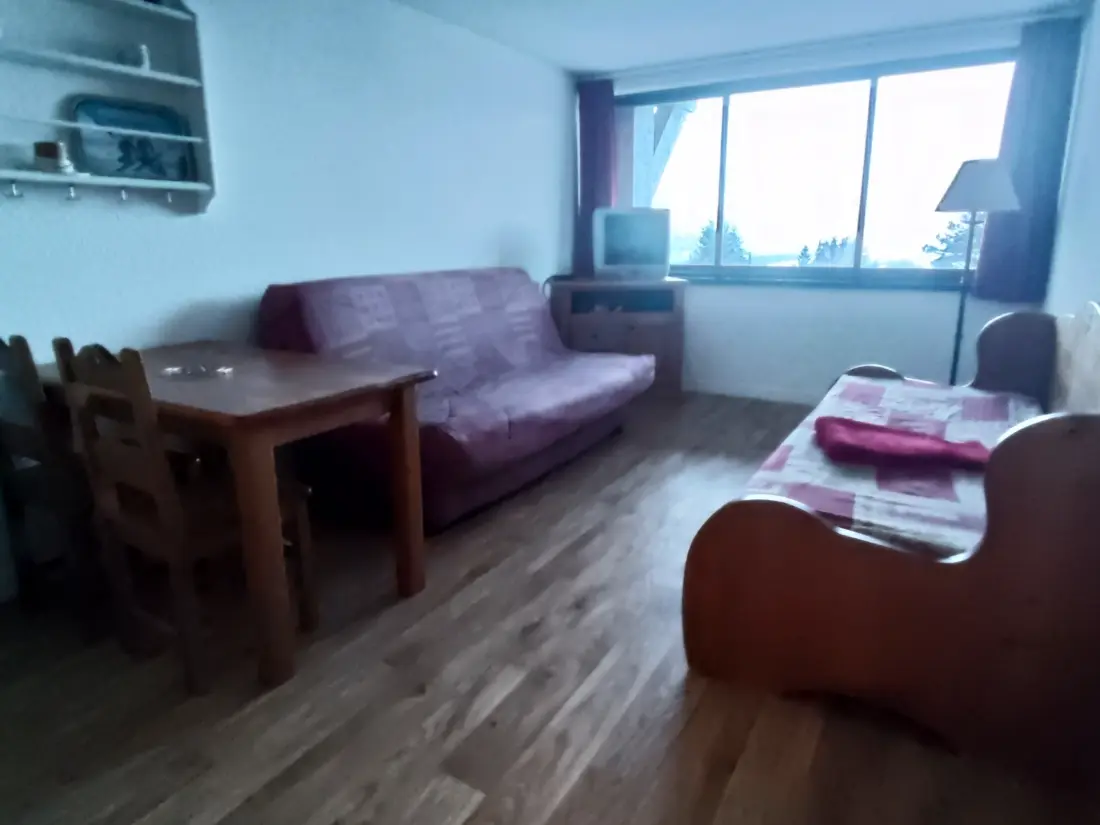 Location de Vacances Besse-et-Saint-Anastaise-Super Besse 195