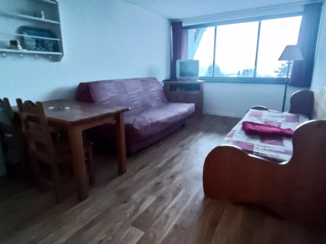 Location de Vacances Besse-et-Saint-Anastaise-Super Besse 195