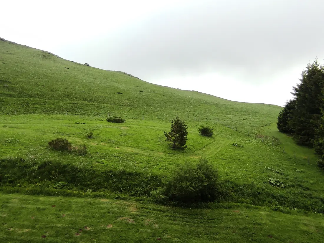 Location de Vacances Besse-et-Saint-Anastaise-Super Besse 199