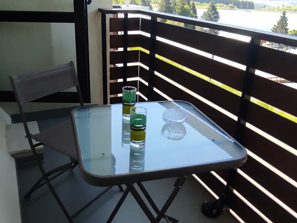 Location de Vacances Besse-et-Saint-Anastaise-Super Besse 200