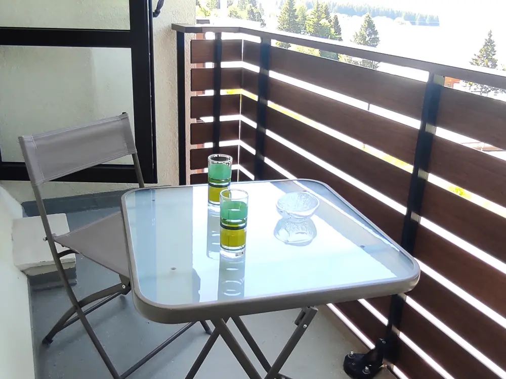 Location de Vacances Besse-et-Saint-Anastaise-Super Besse 200