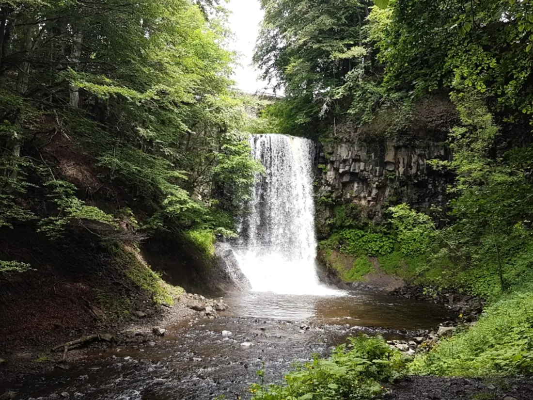 Location de Vacances Besse-et-Saint-Anastaise-Super Besse 202