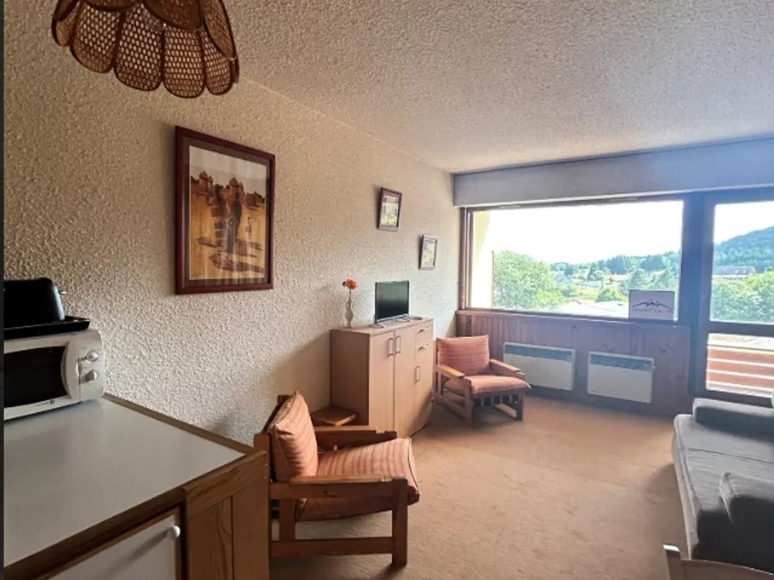 Location de Vacances Besse-et-Saint-Anastaise-Super Besse 204