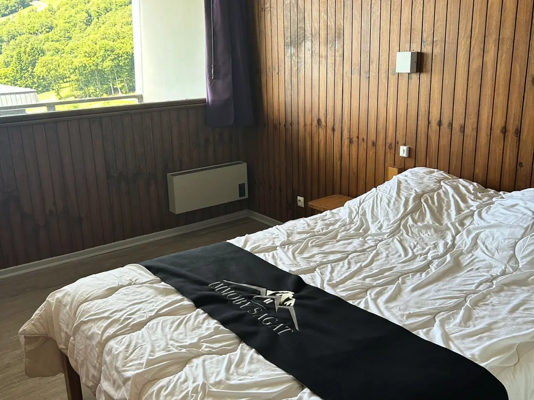 Location de Vacances Besse-et-Saint-Anastaise-Super Besse 25