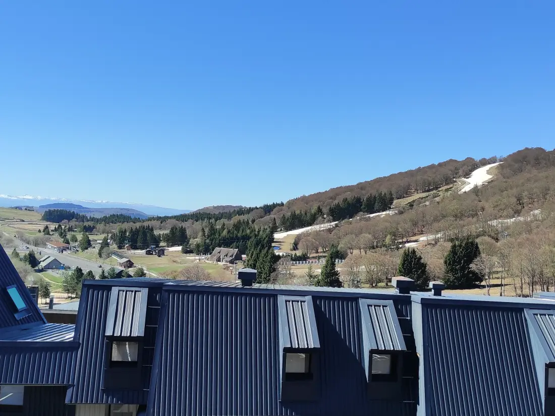 Location de Vacances Besse-et-Saint-Anastaise-Super Besse 36