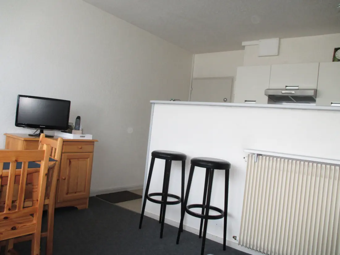 Location de Vacances Besse-et-Saint-Anastaise-Super Besse 37