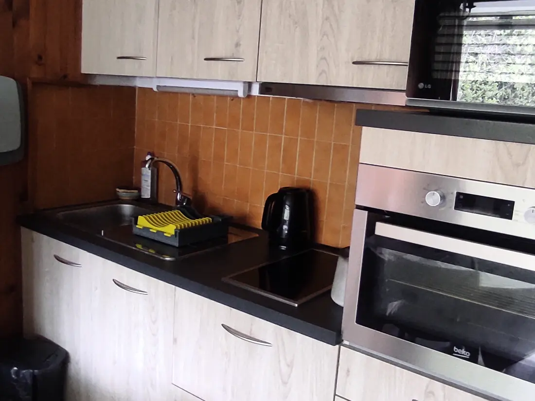 Location de Vacances Besse-et-Saint-Anastaise-Super Besse 39