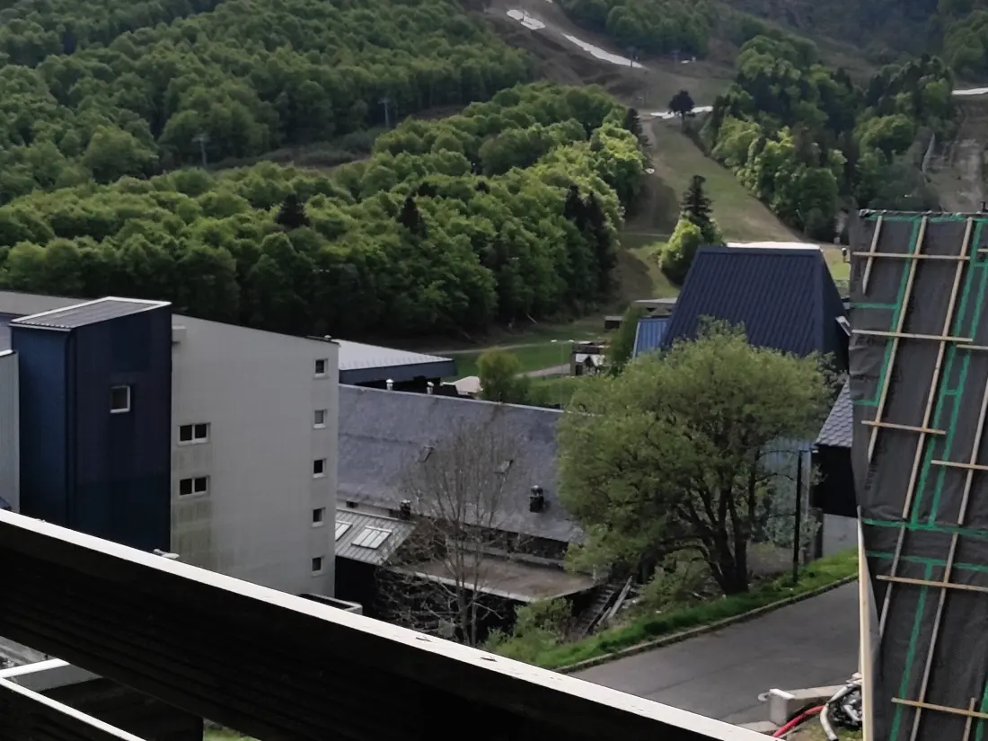 Location de Vacances Besse-et-Saint-Anastaise-Super Besse 39