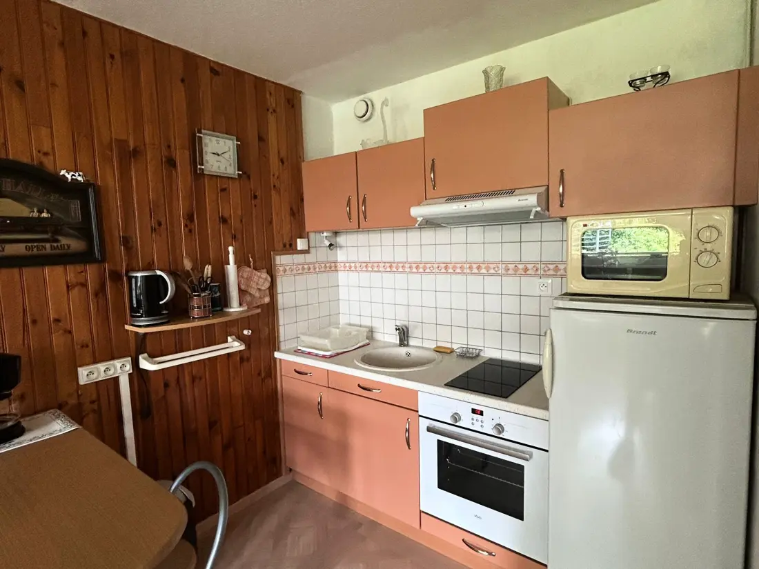 Location de Vacances Besse-et-Saint-Anastaise-Super Besse 41