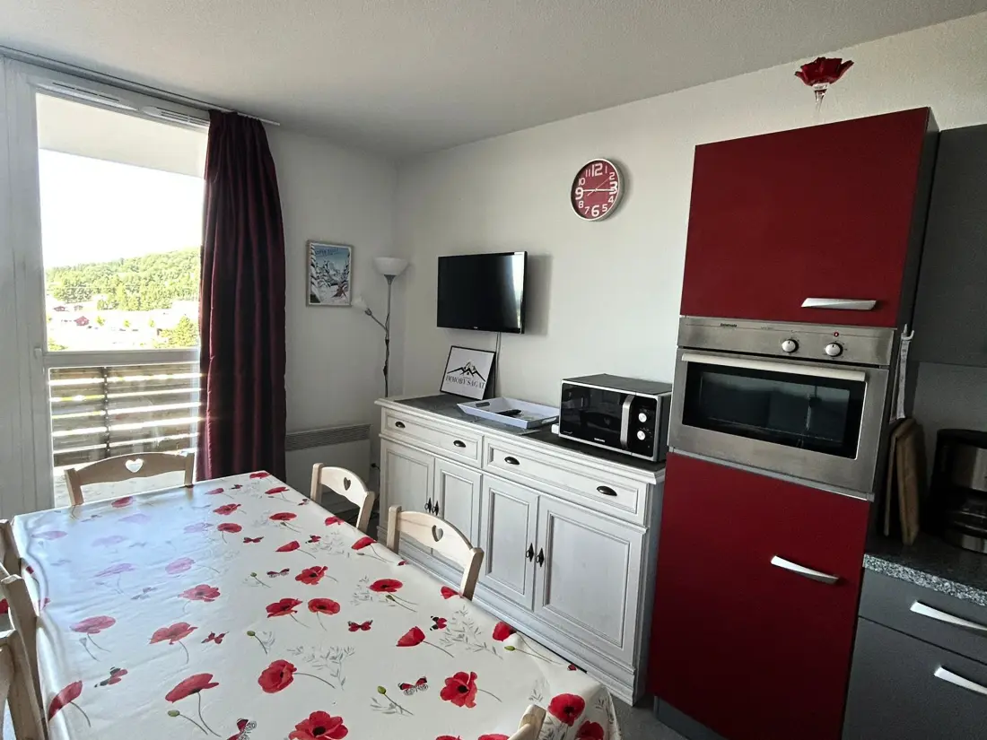 Location de Vacances Besse-et-Saint-Anastaise-Super Besse 49