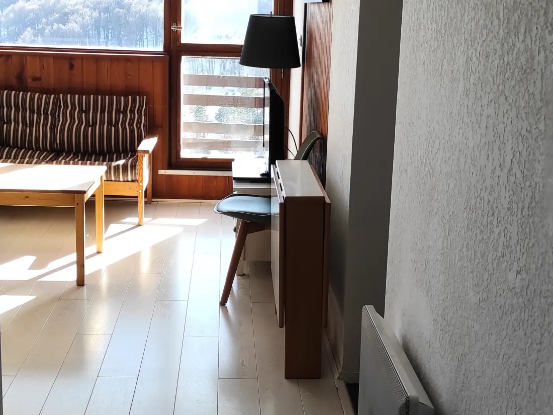 Location de Vacances Besse-et-Saint-Anastaise-Super Besse 69