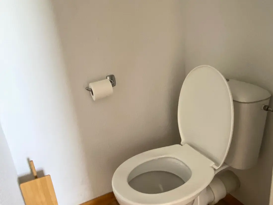 Location de Vacances Besse-et-Saint-Anastaise-Super Besse 81
