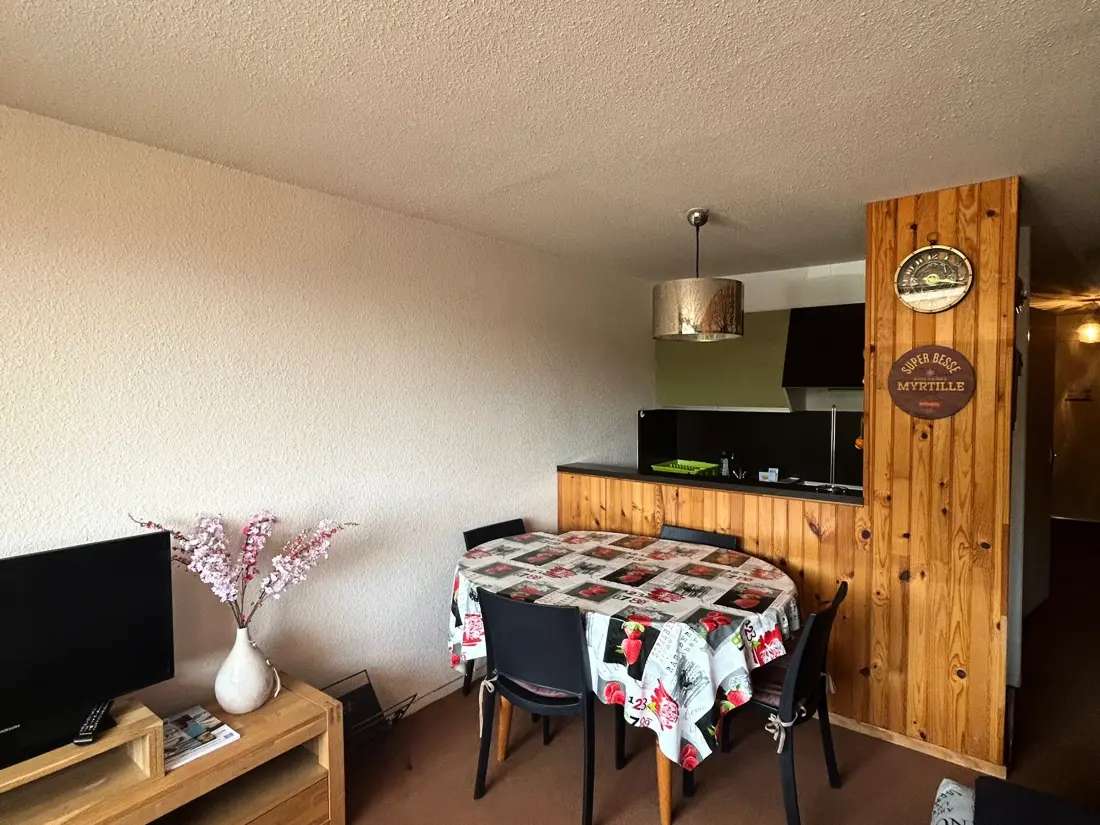 Location de Vacances Besse-et-Saint-Anastaise-Super Besse 84