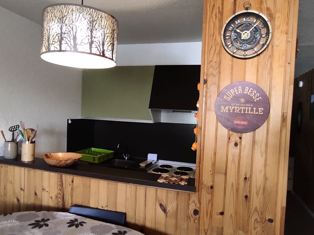 Location de Vacances Besse-et-Saint-Anastaise-Super Besse 84
