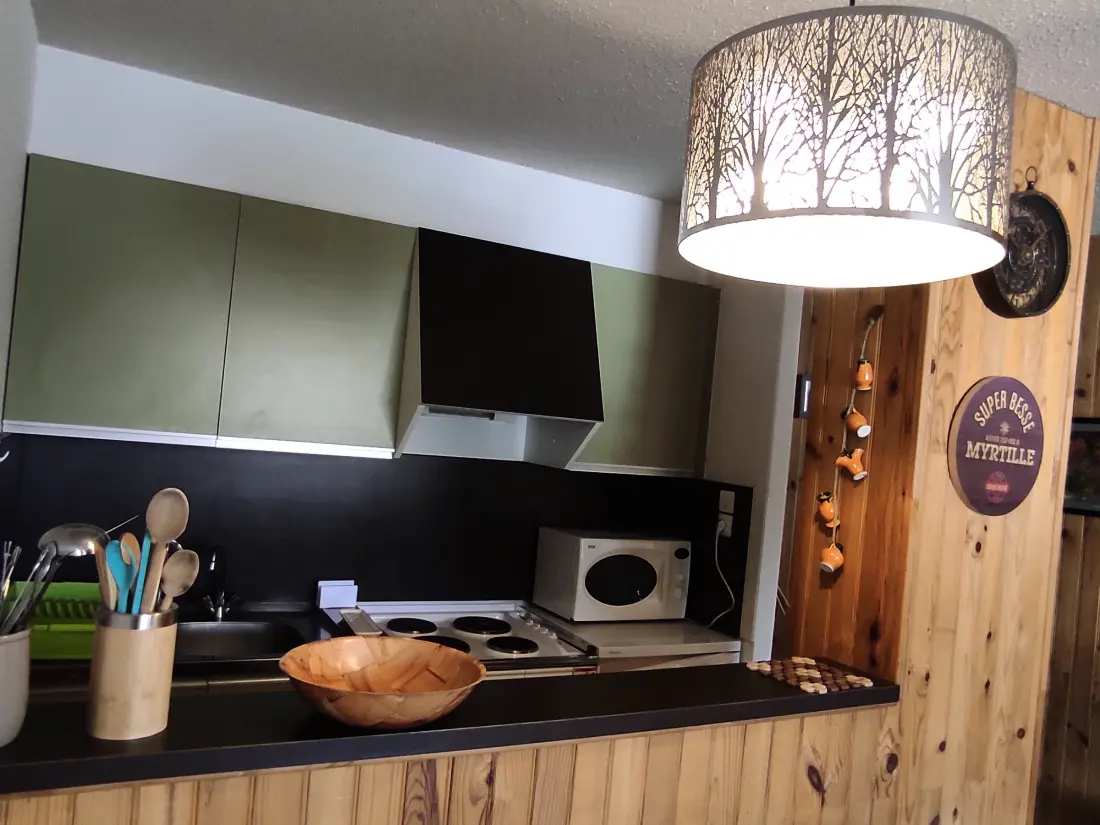 Location de Vacances Besse-et-Saint-Anastaise-Super Besse 84