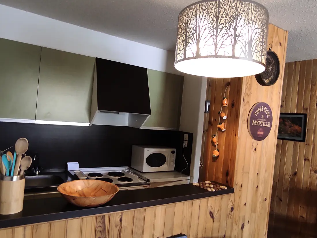Location de Vacances Besse-et-Saint-Anastaise-Super Besse 84