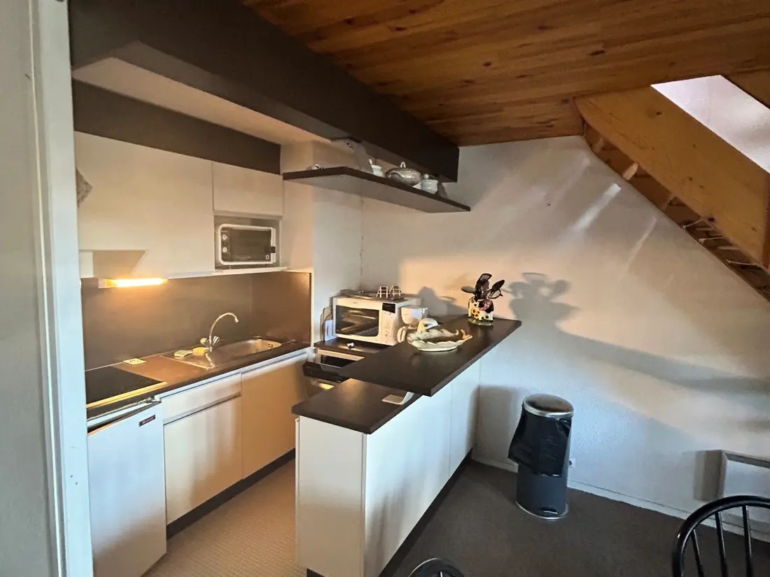 Location de Vacances Besse-et-Saint-Anastaise-Super Besse 88