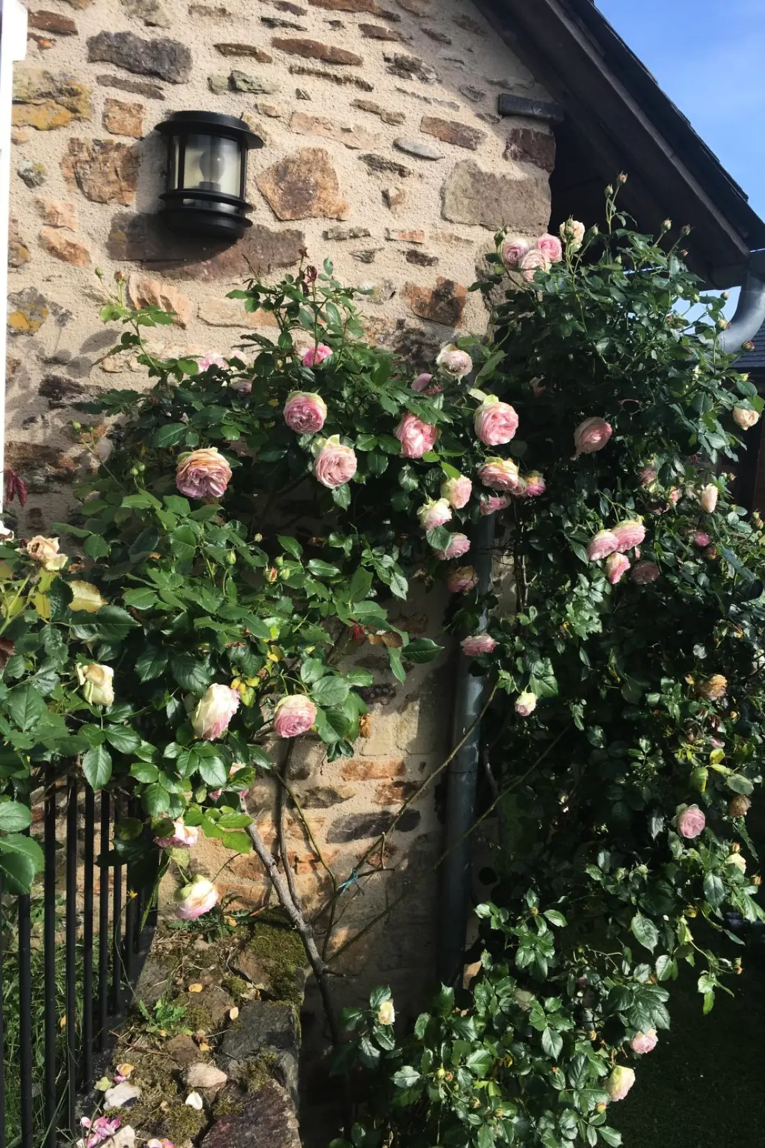 Maison de Vacances Beynat