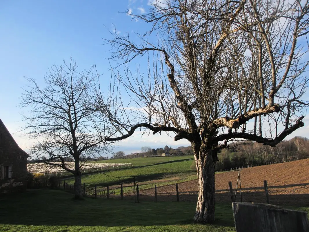 Gîte de France Gite de la genette 3 épis
